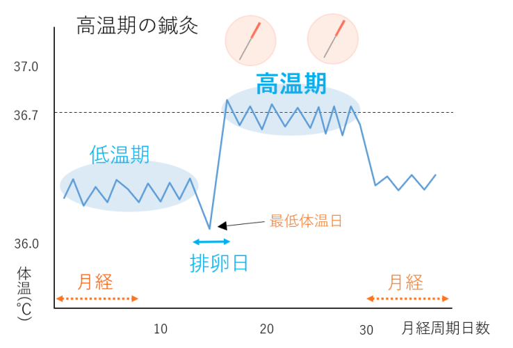 基礎体温のグラフ上に高温期に行う鍼灸のタイミングを示した図