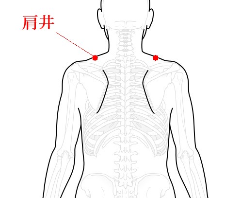 肩井のツボの位置を示した図