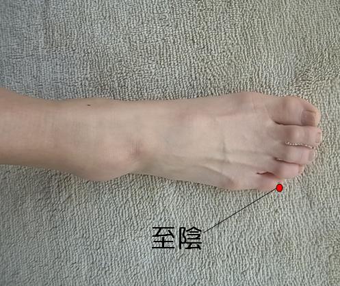 至陰のツボの位置を示した図